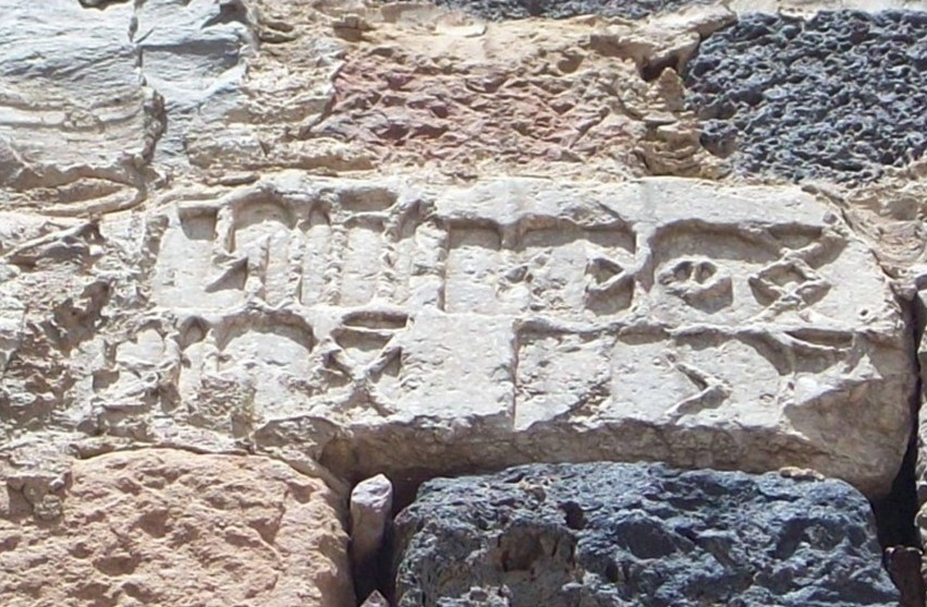 البكير – دورم 8 = Ja517